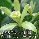 マダガスカル大使館勉強会&レセプション「Vanilla day」